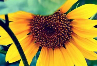 ​婚姻绝望说说心情短语 伤感绝望说说心情短语