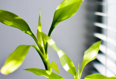 ​心情不好喝酒的说说 心情不好喝酒的说说伤感