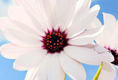 ​话简短伤感的心情句子,话简短伤感的说(精选25句)