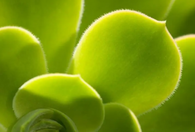 ​深夜发的伤感说说配图 唯美伤感的说说带图片