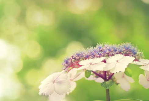 1715801692862615.png image.png