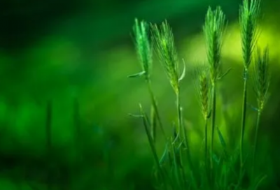 ​没人懂我心情的说说 没人懂我心情的说说 伤感