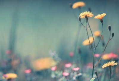 ​没钱的说说伤感句子 自己没钱的说说伤感句子