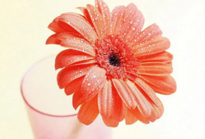 ​一个人伤感很冷的句子 生病了一个人失落伤感的句子