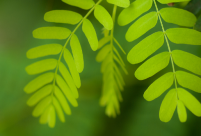 ​心酸扎心伤感的语录 扎心伤感短句(精选23句)