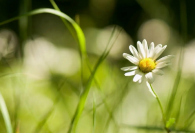 ​心烦喝酒的伤感句子 看见喝酒的人我就心烦的句子