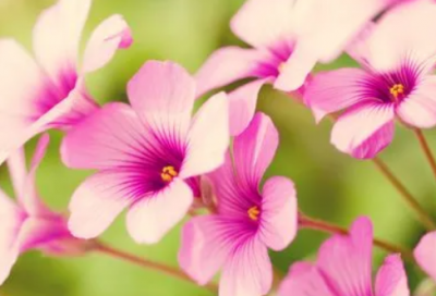 ​心情不好的说说伤感说说 天气下雨的说说(精选35句)