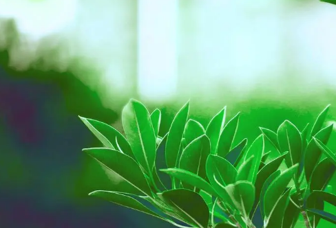 1715803690411512.png image.png