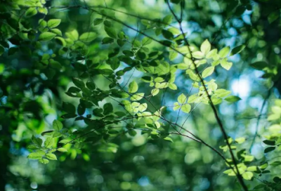 ​感慨人生伤感的短句 人生路经典短句子(精选19句)