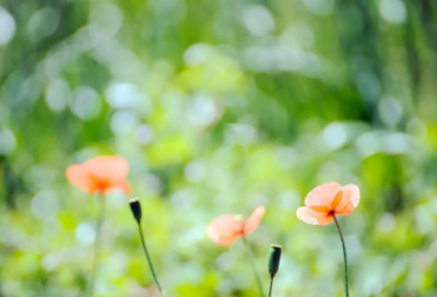 ​配不上你的伤感句子(精选36句)