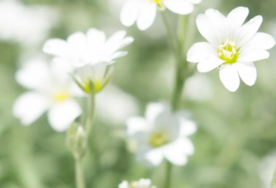 ​伤感说说心情不好(伤感说说看完哭了那种)