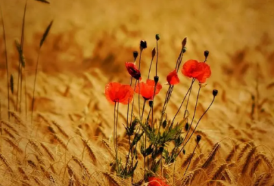 ​关于伤感的最火文案短句有哪些，文案句子伤感