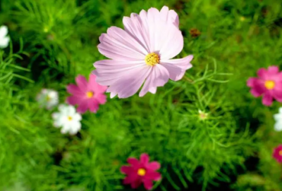 ​酒句子伤感说说心情【喝酒经典句子说说心情】