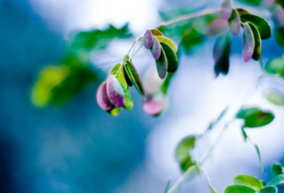 ​伤感哲理句子说说心情(讽刺人生句子说说心情)