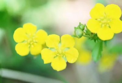 ​伤感短句子十字以内 伤感短句子句句心痛(精选56句)