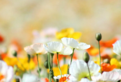 ​说说心情开心伤感(离别的句子说说或心情)