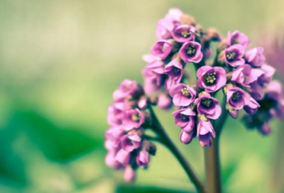 ​伤感说说控：签名随着心情变，人随着时间变