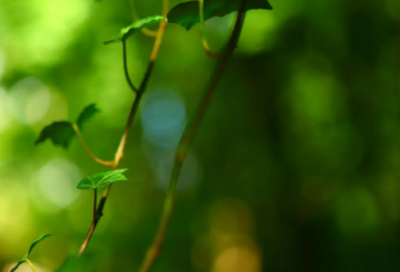 ​让对方看了难受的说说 最伤感的句子看了想哭