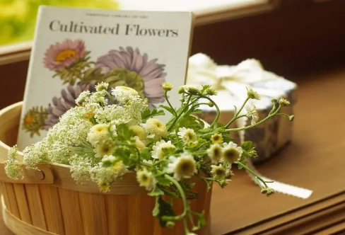 1715809684722417.png image.png