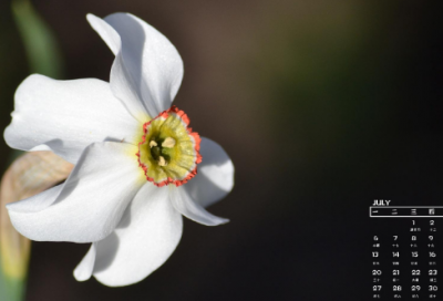 ​酒后伤感的句子 有内涵酒醉伤感的句子(精选29句)