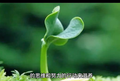 ​心碎的句子说说心情 伤感说说心情短语(精选21句)