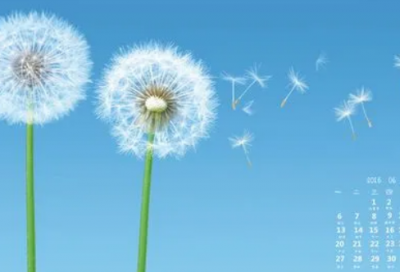 ​被朋友抛弃了伤感说说 被亲情抛弃的伤感说说