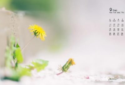 ​表达心情不好的唯美伤感句子,表达心情不好的说(精选22句)