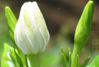 ​伤感短句子十字以内 伤感短句子句句心痛(精选51句)