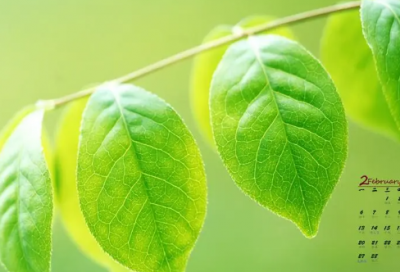 ​关于别人敷衍你的说说 被敷衍的伤感说说句子