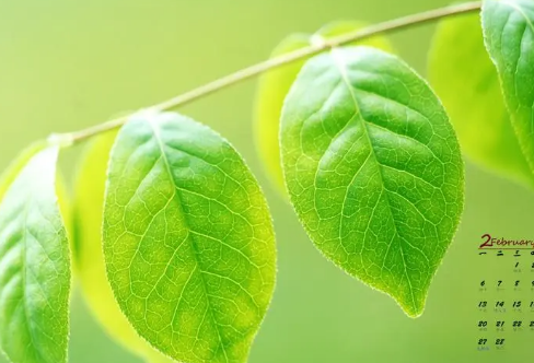 1715816341137632.png image.png