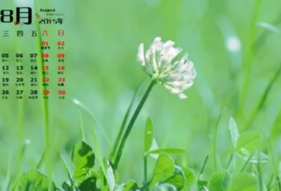 ​爱到深处的悲伤句子 情到深处的伤感句子(精选22句)