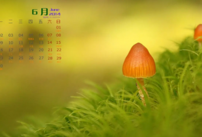 ​看破红尘伤感经典句子 红尘伤感经典句子文案