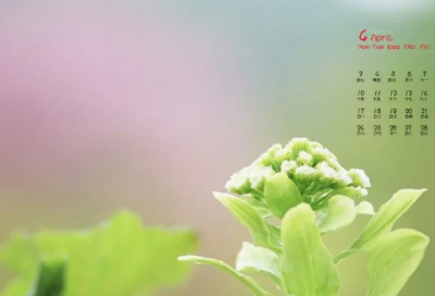 ​爱情说说伤感能落泪的句子文案大全（精选）