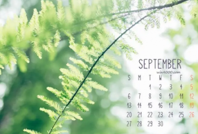 ​伤感爱情的名言