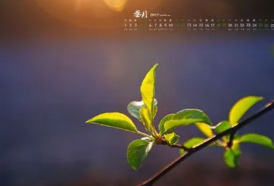 ​分手后最伤心的话 分手过后的伤感句子(精选20句)