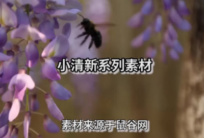 ​我想你了的说说 妈妈我想你了伤感说说(精选23句)