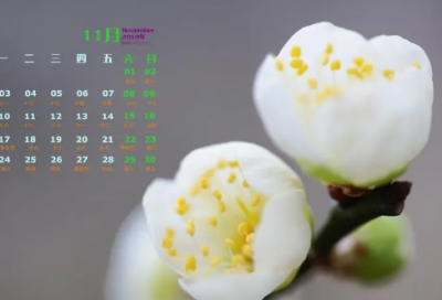 ​如果有来生的深情句子 如果有来生的伤感句子