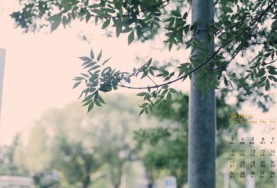 ​爱情伤感语句最现实的句子精选