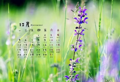 ​表明内心无力感的说说 有种无力感的伤感说说