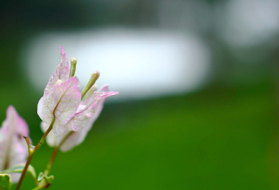 ​孤独伤感说说短句 一日复一日的说说短句子