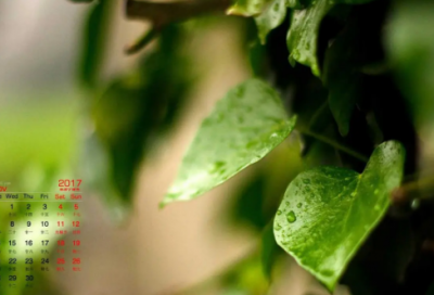 ​远嫁的心酸和无奈说说 远嫁伤感的心情说说句子