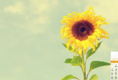 ​一个人心里没有你的伤感说说(精选11句)