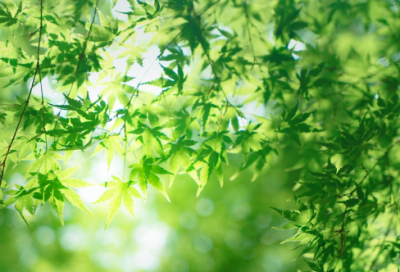 ​表达很在乎对方的伤感句子(精选17句)