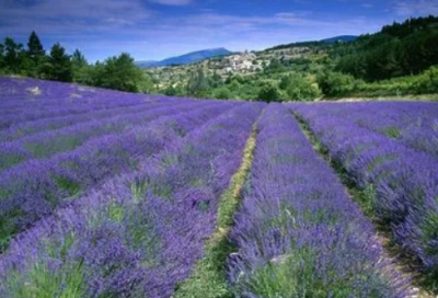 ​关于眼泪的说说 关于眼泪的说说伤感(精选14句)