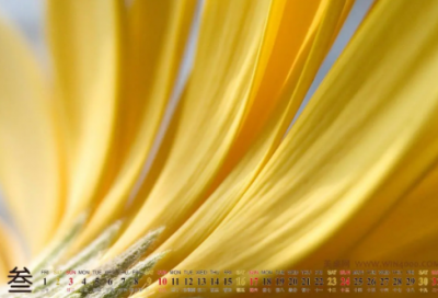 ​亲情伤感个性签名