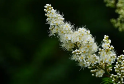 ​关于酒后吐真言的说说 酒后吐真言的伤感说说