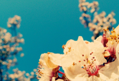 ​你心中无爱，怎会懂珍惜二字 抖音伤感句子