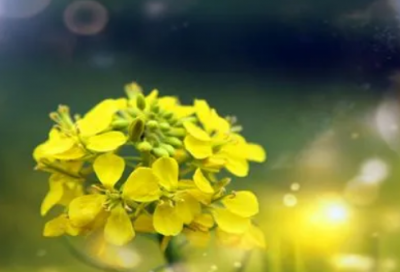 ​感慨物是人非的经典语录 物是人非伤感的句子