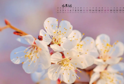 ​想回家却不能回的说说伤感 想回家却不能回的说说伤感歌曲