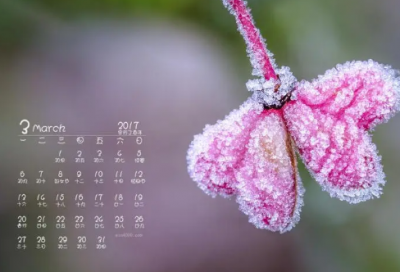 ​心情说说短语唯美(伤感个人心情说说短语)